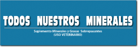 Nuestros Productos